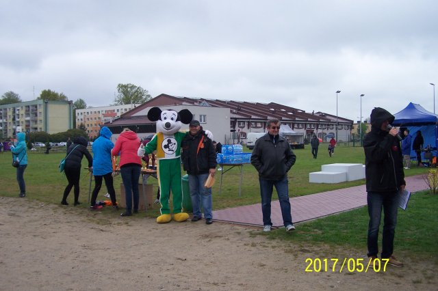wstane 44